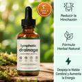 lympathic Drenaje linfático | Nueva Fórmula de Máxima Potencia